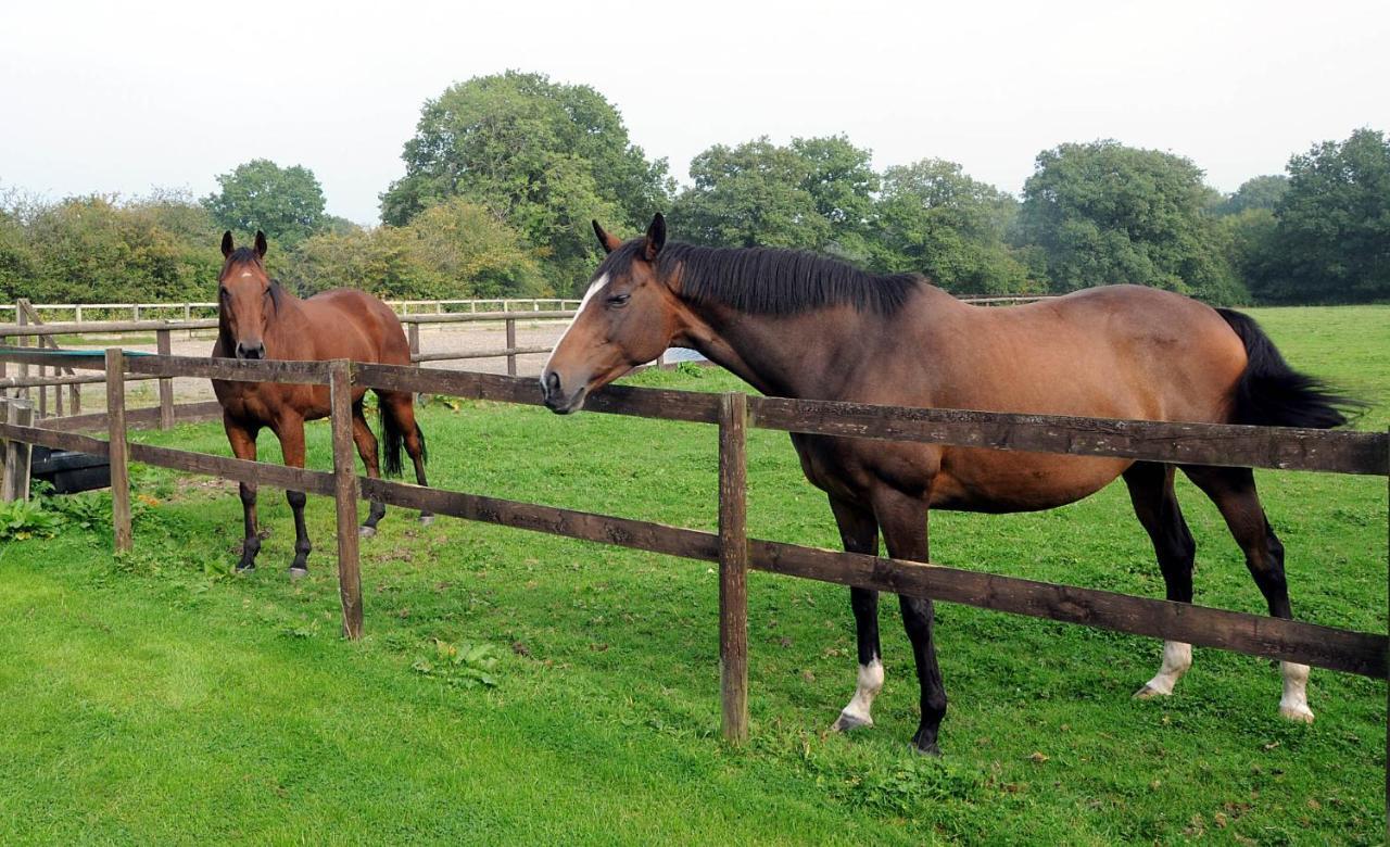 Little Rushbrook Cottages Tanworth Esterno foto